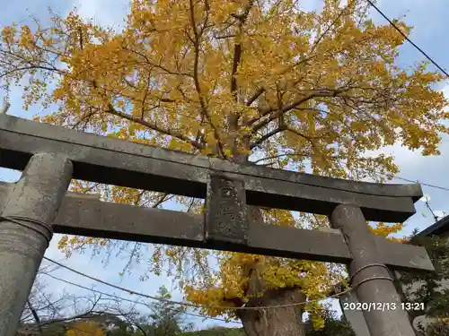 白岩神社の鳥居