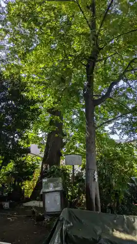 戸越八幡神社(東京都)