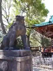 根津神社の狛犬