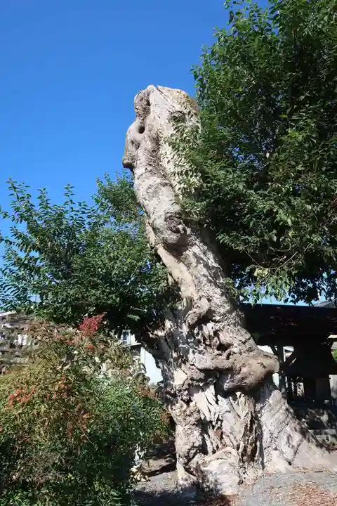 蔵林寺(京都府)