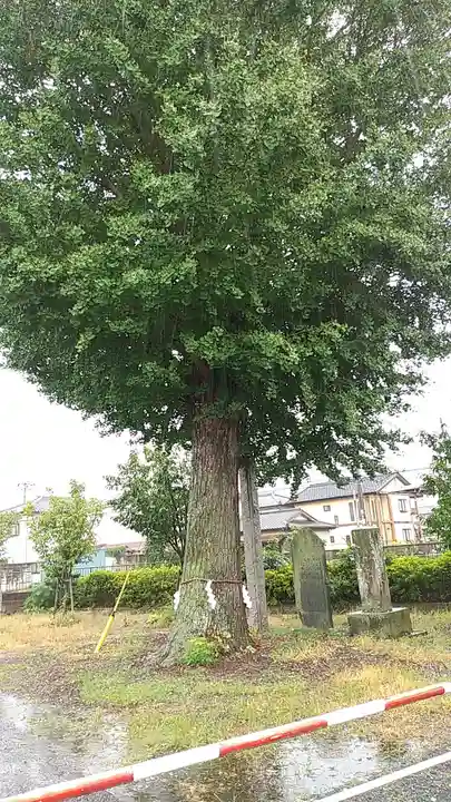 富士嶽神社(群馬県)