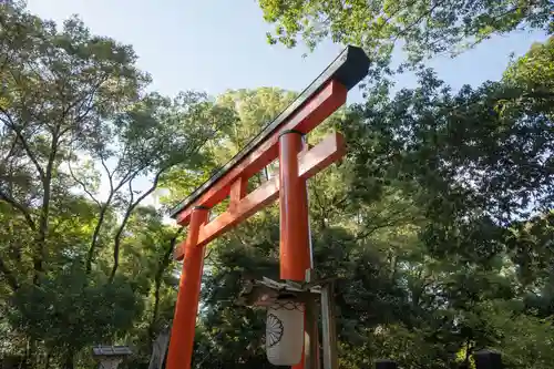 賀茂御祖神社（下鴨神社）の鳥居