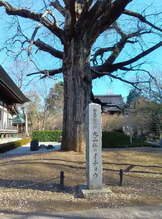 淨眞寺(東京都)
