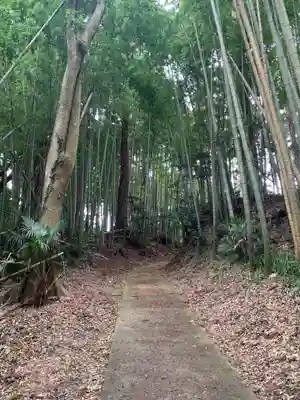 天満神社の周辺