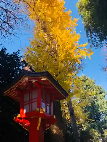 馬橋稲荷神社の庭園