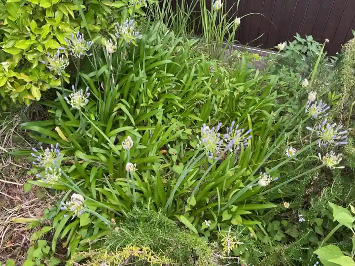 龍渕寺(愛知県)