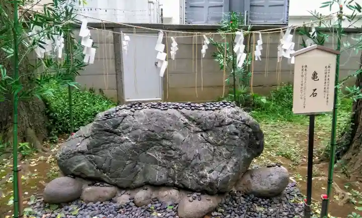 駒込天祖神社の自然