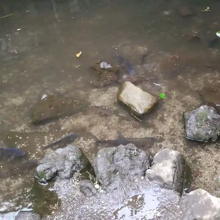 津の守弁財天(東京都)