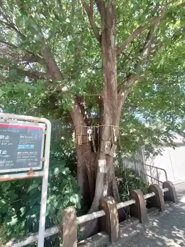 太田姫稲荷神社跡（一口神社）(東京都)