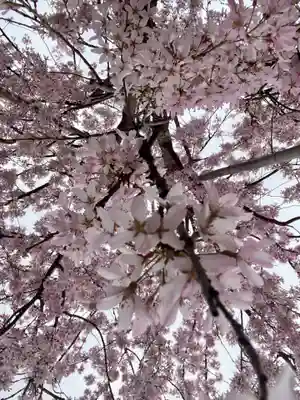 實相寺（実相寺） の自然