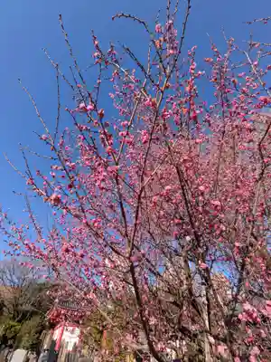 成願寺(東京都)