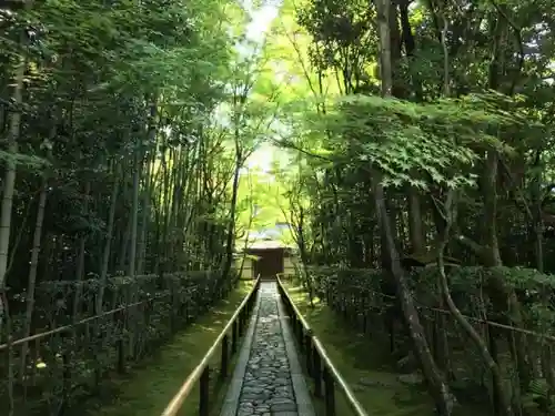 高桐院の建物その他