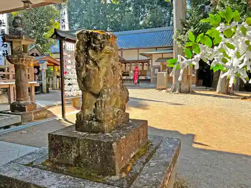 大村神社の狛犬