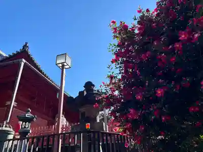 清水観音堂(東京都)