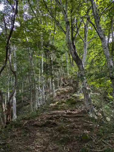 迦葉山龍華院弥勒護国寺（弥勒寺）の自然