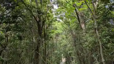 護皇神社の自然