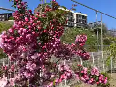 龍宮神社(北海道)