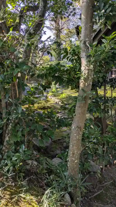 禅華院(京都府)