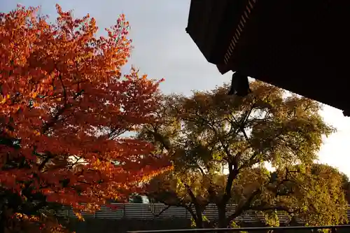 成田山大照寺(北海道)