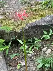 鶴林寺(石川県)