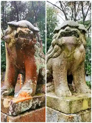 諏訪八幡神社の狛犬