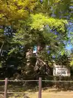 七戸神明宮(青森県)