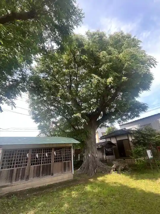 龍ケ崎八坂神社(茨城県)