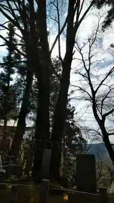 正法寺(滋賀県)