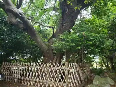 山の神(滋賀県)