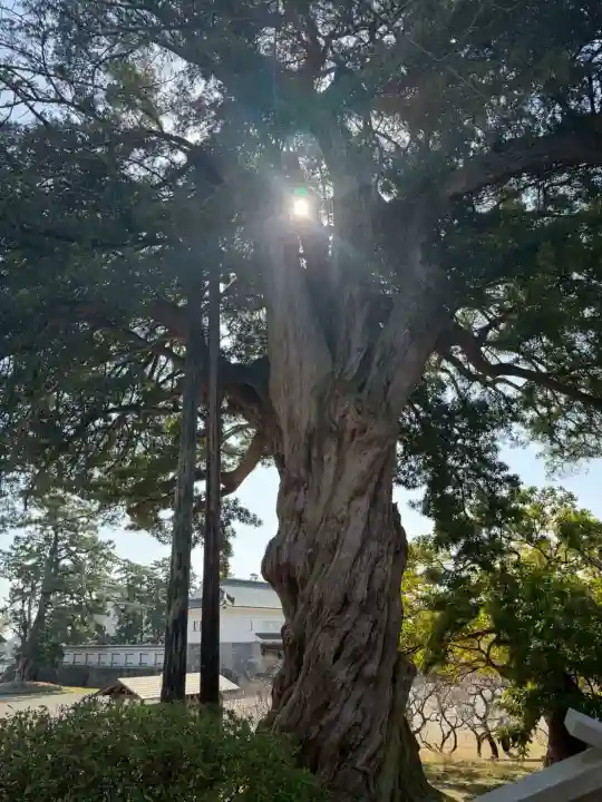 報徳二宮神社の{uncategorized: "未分類", other: "その他", undefined: "問題あり", building: "その他建物", grave: "お墓", sacred_gate: "鳥居", guardian: "狛犬", statue: "像", buddha: "仏像", history: "歴史", nature: "自然", garden: "庭園", animal: "動物", pagoda: "塔", temizu: "手水舎", mountain_gate: "山門・神門", sanctuary: "本殿・本堂", subordinate: "末社・摂社", art: "芸術", scenery: "景色", jizo: "地蔵", ema: "絵馬", goshuin: "御朱印", omikuji: "おみくじ", items: "授与品その他", amulet: "お守り", goshuincho: "御朱印帳", eats: "食事", festival: "お祭り", votive_dance: "神楽", shichigosan: "七五三参", wedding: "結婚式", experience: "体験その他", initially: "初詣", around: "周辺", anti_infection: "感染症対策"}