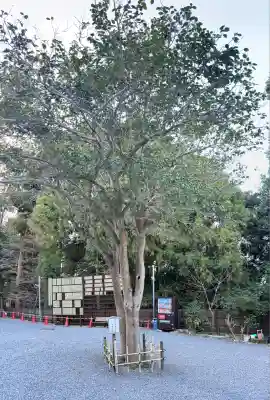 大豊神社(京都府)