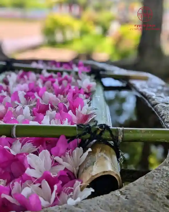 立志神社(滋賀県)