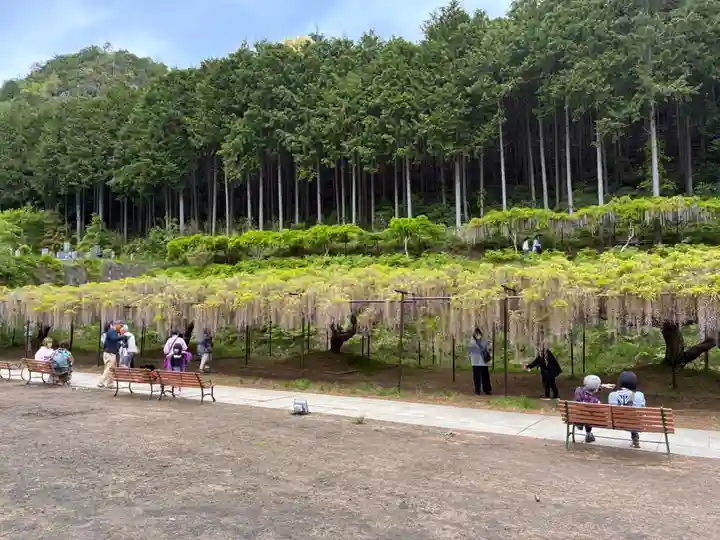 天台宗 五大山 白毫寺の周辺