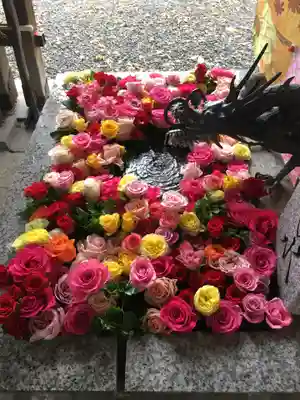 札幌諏訪神社の手水舎