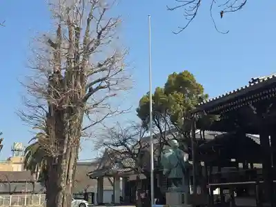 本願寺堺別院(大阪府)