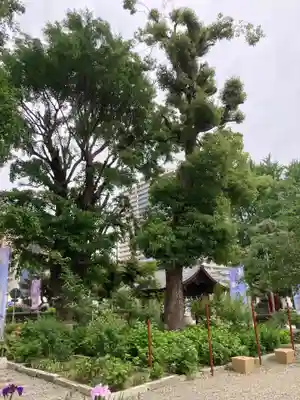 磐井神社(東京都)