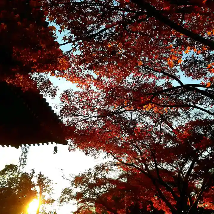 西見寺のその他建物