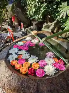 東京羽田 穴守稲荷神社(東京都)(2022年11月11日(金) 11時41分31秒投稿)