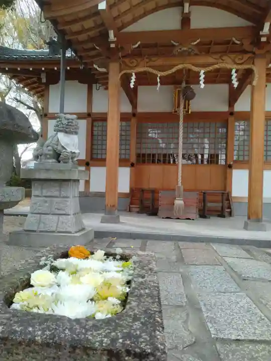 野見神社の本殿・本堂