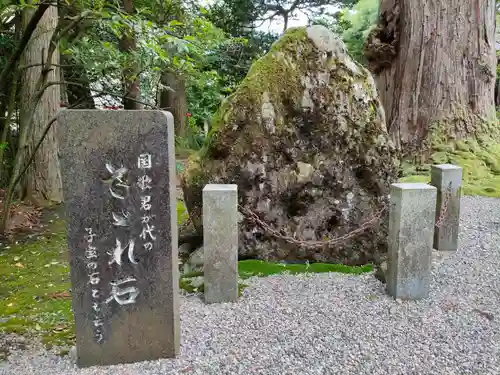 越中一宮 髙瀬神社の自然