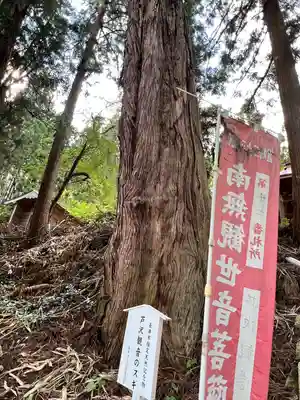 雲洞庵 芹沢観音(山形県)