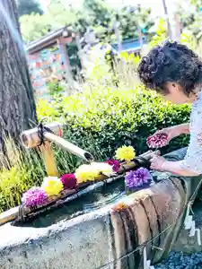 伊和志津神社(兵庫県)(2023年06月17日(土) 10時34分31秒投稿)