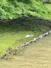 伊勢神宮内宮（皇大神宮）(三重県)