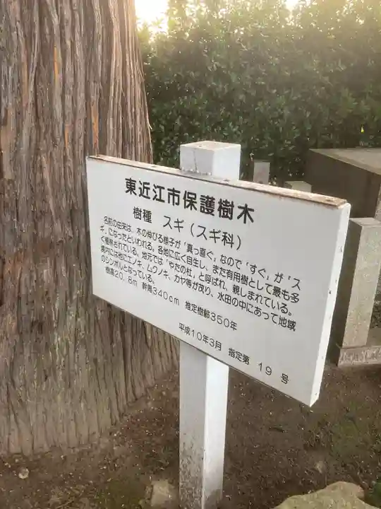 八咫神社の自然