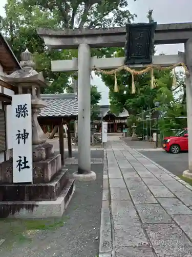 縣神社の鳥居