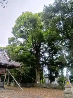 多賀神社の{uncategorized: "未分類", other: "その他", undefined: "問題あり", building: "その他建物", grave: "お墓", sacred_gate: "鳥居", guardian: "狛犬", statue: "像", buddha: "仏像", history: "歴史", nature: "自然", garden: "庭園", animal: "動物", pagoda: "塔", temizu: "手水舎", mountain_gate: "山門・神門", sanctuary: "本殿・本堂", subordinate: "末社・摂社", art: "芸術", scenery: "景色", jizo: "地蔵", ema: "絵馬", goshuin: "御朱印", omikuji: "おみくじ", items: "授与品その他", amulet: "お守り", goshuincho: "御朱印帳", eats: "食事", festival: "お祭り", votive_dance: "神楽", shichigosan: "七五三参", wedding: "結婚式", experience: "体験その他", initially: "初詣", around: "周辺", anti_infection: "感染症対策"}