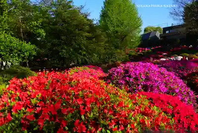 根津神社(東京都)