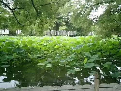 旗上弁財天社の自然