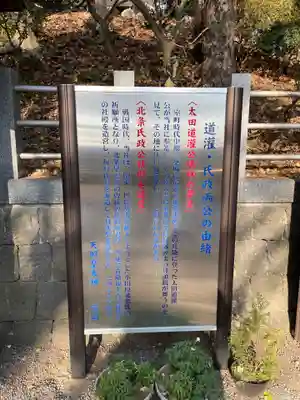 天照皇大神の歴史