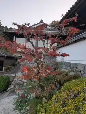 聖林寺(奈良県)